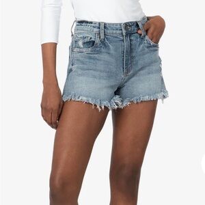 Kit from Kloth Jane High waisted shorts